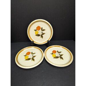 Mikasa Stone Manor Tempting F5812 Fruit Pattern Stoneware Salad Plate Set of 3